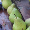 Natural energy source