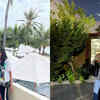 Exotic Vacations
