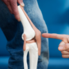 Protects our joints and prevents injuries