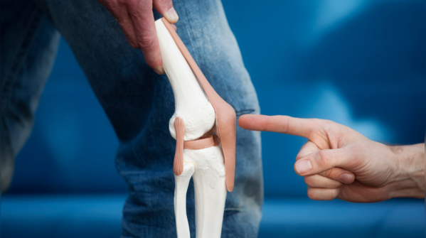 Protects our joints and prevents injuries
