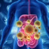Promotes gut health