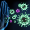 Supports immune function