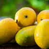 Mangoes