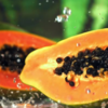 Papaya