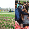 Scenic garden inaugurated by CM at Zabarwan foothills