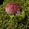​<strong>Gaggan, Thai​land</strong>​
