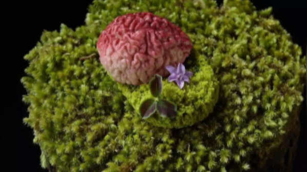 <strong>Gaggan, Thailand</strong>