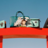 Loewe x Studio Ghibli