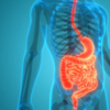 Aids digestion