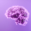Boosts brain function