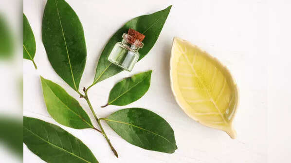 Aloe Vera and Camphor for dandruff control