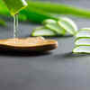 Benefits of Aloe Vera and Camphor for hair growth
