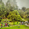 Visit the Government Botanical Gardens