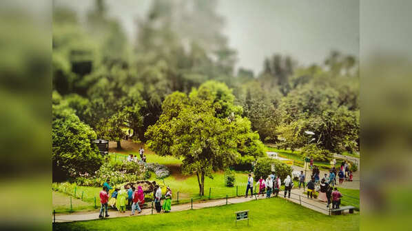 Visit the Government Botanical Gardens