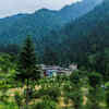  Jibhi