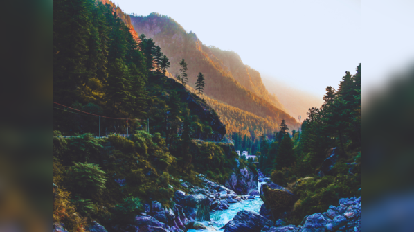 Pangi