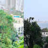 Scenic retreat in the city