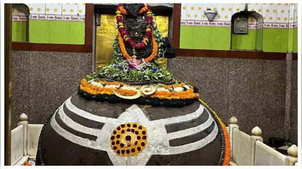 Tilbhandeshwar Growing Shivling