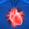 Boosts heart health