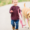 Walk after every meal