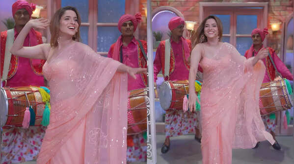 Peach Sheer Saree with Sequin Roses