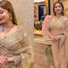 Golden Sheer Saree with Stone Work