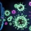 Boosts immune system