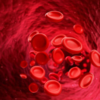Improves blood circulation