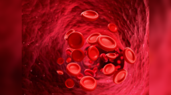 Improves blood circulation