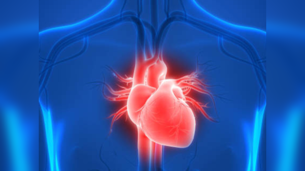 Supports heart health