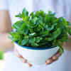 Mint leaves