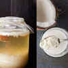 Coconut Water Kefir