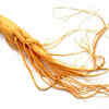 ​Ginseng (Panax ginseng)