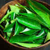  Boosts Brain Function