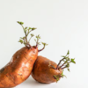 Sweet Potatoes