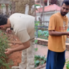 Boys handpick basil and cherry tomatoes