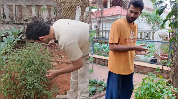 Boys handpick basil and cherry tomatoes
