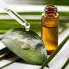 ​Tea Tree essential oil