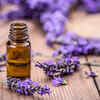 Lavender essential oil