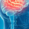Enhances brain function