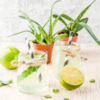 Aloe vera & lemon juice