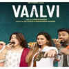 'Vaalvi 2'