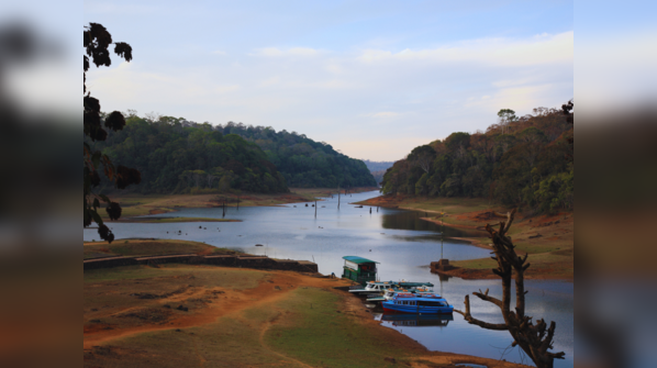 Periyar Wildlife Sanctuary, Kerala