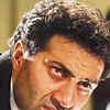 Article image for: <i class="tbold">damini</i> (1993)