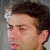Article image for: <i class="tbold">damini</i> (1993)