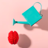 Strategies for Long-Term Success: Aligning Mindset, Behavior, and Environment