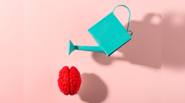Strategies for Long-Term Success: Aligning Mindset, Behavior, and Environment