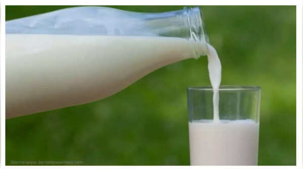 Milk is the best source of calcium