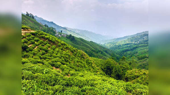 Kalimpong, West Bengal
