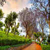 Coonoor, Tamil Nadu